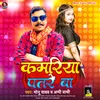 About Kamariya Patre Ba (Bhojpuri) Song