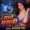 About Yaden Purani (Hindi Song) Song