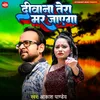 About Diwana Tera Mar Jayega Song