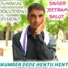 About Number Dede Hentu Hent Song