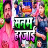 About Sanam Harjai (Bhojpuri) Song