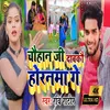 About Chauhan Ji Daabko Horanva Ge (Bhojpuri Song) Song