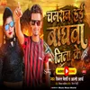 About Chamaran Hayi Baghwa Jila Ke (Bhojpuri) Song