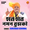 Shat Shat Naman Tujhko (Hindi)
