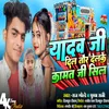 About Yadav Ji Dil Dor Delke Kamat Ji Sil Song