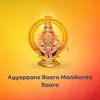 About Ayyappane Baaro Manikanta Baaro Song