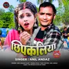 About Chhipkalia Song