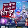 About Pagal Kahai Sara Duniya Shiv Guru Song