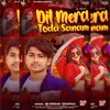 About Dil Mera Toda Sanam (Hindi) Song