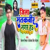 About Jila Santkabir Nagar Ha Song