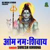About Om Namah Shivay (Hindi) Song