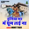 About Duniya Bhar Mein Ghoom Lai Na (Hindi) Song
