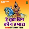 Hai Tujh Bin Kaun Hamara (Hindi)