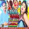 About Jata Jaghe P Maal Song