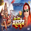 About Rom Rom Mahadev Song