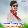 About Meena Dabang Lag Ch Song