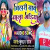 About Bihari Babu Vala Gadiya Song