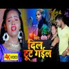 About Dil Tut Gayil (bhojpuri) Song
