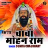 About Baba Mohan Ram Part 12 (Hindi) Song