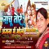 About Nachu Tore Angna Mein (Bhakti) Song