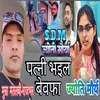 About Patni Bhail Bewfa (Bhojpuri) Song