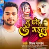 About Tu Chhod Ke Gailu Song