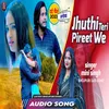 About Jhuthi Teri Pireet We Song