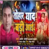 About Tohar Yad Badi Ayi (Bhojpuri) Song