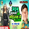 About Aibu Kawna Mahinwa (Bhojpuri Song) Song