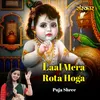 About Laal Mera Rota Hoga Song