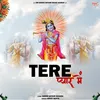About Tere Pyar Me Song