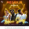 About Meganja Remix Song