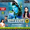 About Neelkanth Song