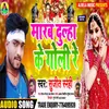 About Marab Dulha Ke Goli Re Song