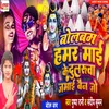 About Hamar Maai Ke Dularuwa Jamai Bolbam Song Song