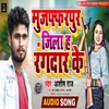 About Muzaffarpur Jila H Rangdar Ke (Bhojpuri Song) Song