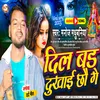 About Dil Bad Dukhai Chhau Ge Song