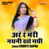 About Are Re Meri Nathni Kho Gayi (Hindi) Song