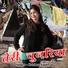 About Teri Chunariya (Pahadi) Song