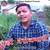 About Badi Berojgari (Pahadi) Song