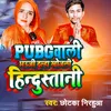 About Pubg Wali Bhauji Dulha Khojali Hindustani Song