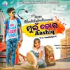 About Muin Tor Aashiq (Sambalpuri) Song