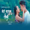 About Mero Harpal Timi Song
