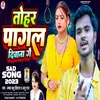 About Tohar Pagal Diwana Ge Song
