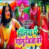 About Holiya Mein Gailu Jija Ghare Song