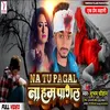 About Na Tu Pagla Na Ham Pagl (Bhojpuri) Song