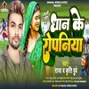 About Dhan Ke Ropaniya Song