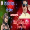 Mai Kaise Jiyu Tere Bin (Hindi)