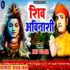 About Shiv Avinashi (Bhakti song) Song