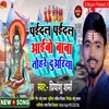 About Paedal Paedal Aebo Baba Tohari Duariya (Bol Bam) Song